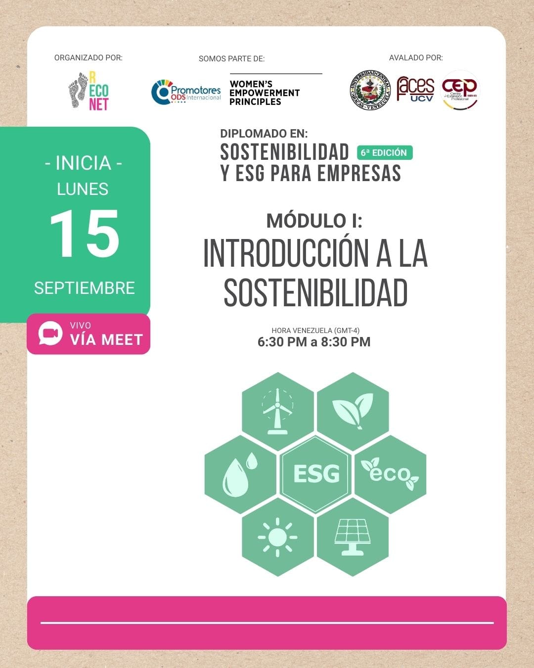 Diplomado en sostenibilidad - introducción a la sostenibilidad