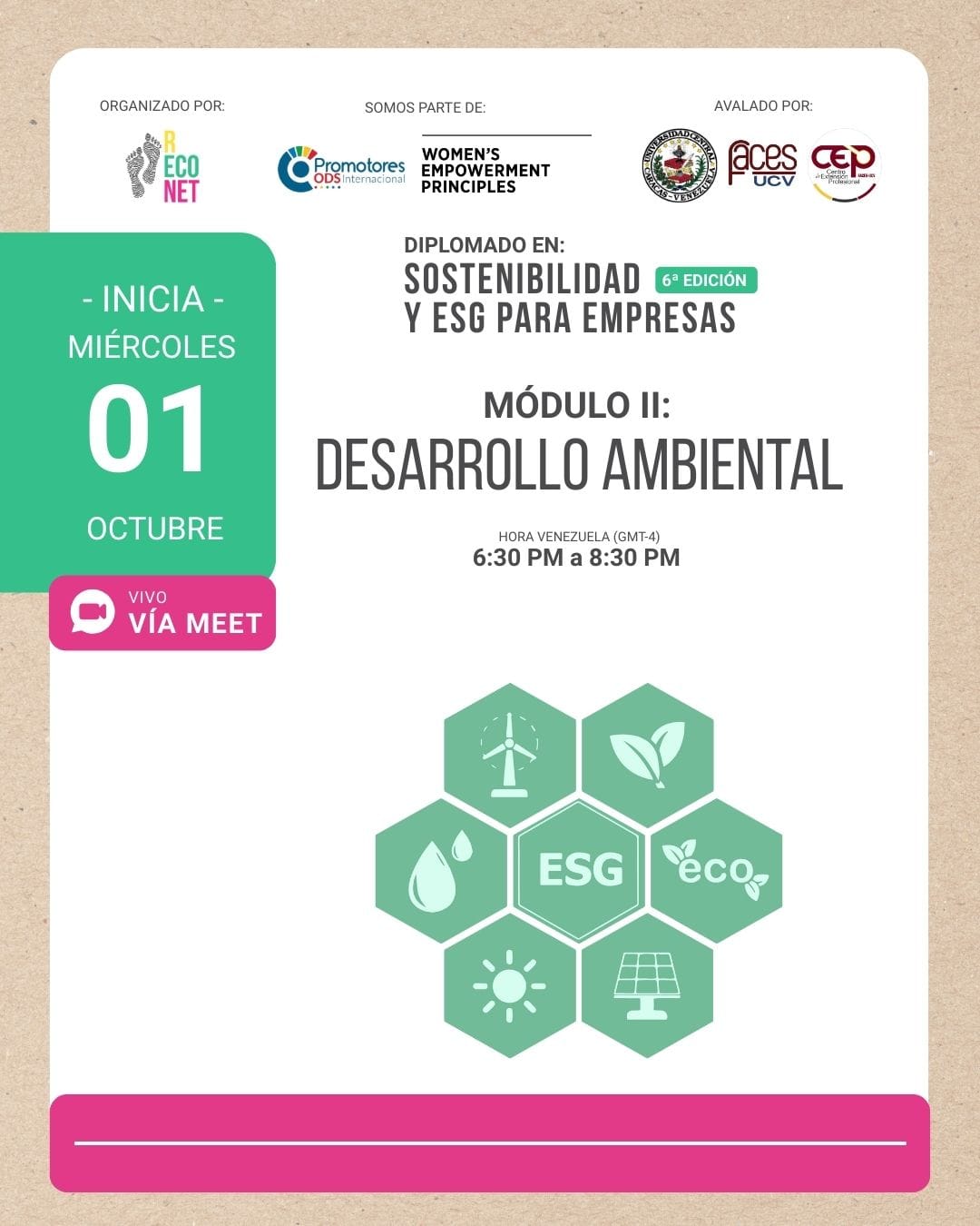 Diplomado en sostenibilidad - desarrollo ambiental